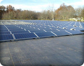 Eder Bros. 325kW Solar Installation